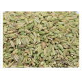 wholesale fennel high quality dried Chinese raw fennel seeds